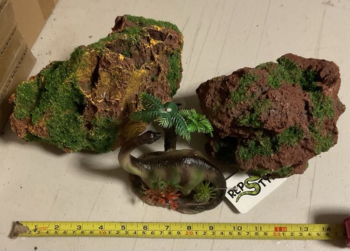 Aquaspectra mossy rocks - 2,