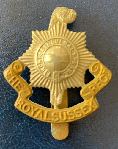 100 genuine ww1 royal - 100%, sussex