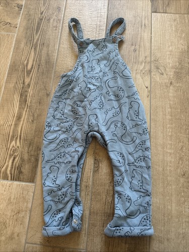Dinosaur dungarees adjustable - dinosaur,