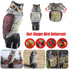 Owl Decoy Deterrent Bird