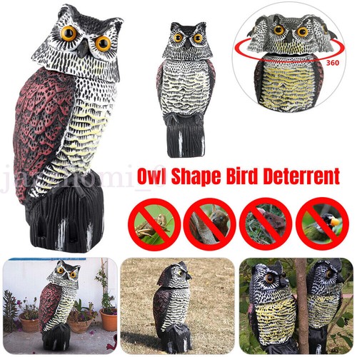 Owl decoy deterrent bird - owl,