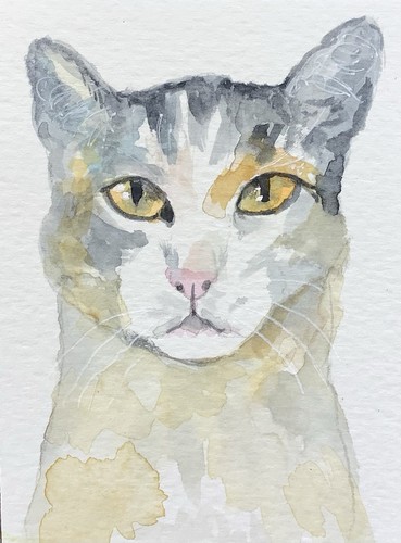 Aceo kenna original - aceo, by