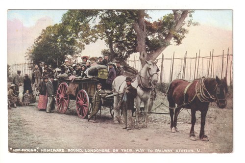 Hop picking londoners - -, on