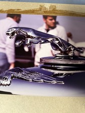 Jaguar Leaper Hood Ornament