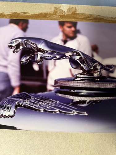 Jaguar leaper hood ornament - leaper,