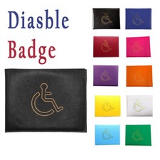 Disabled Badge Holder Hologram