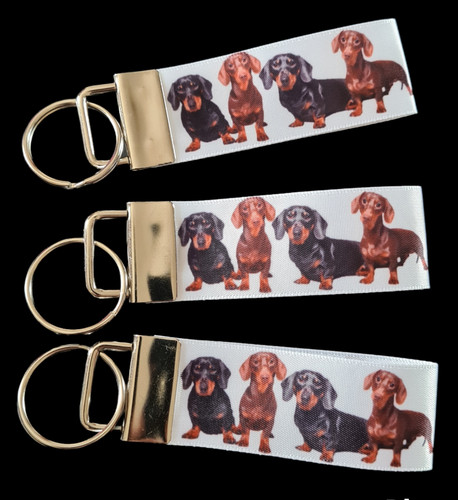 Dachshund sausage dog breed - dachshund,
