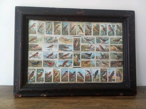 Wills cigarette cards - wills's,