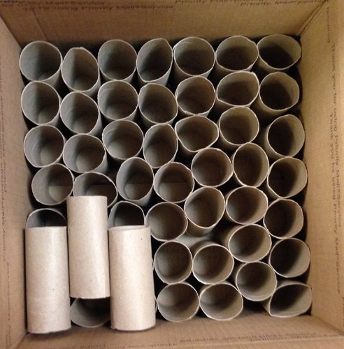 Empty toilet roll tubes - empty,