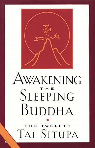 Awakening the sleeping buddha - the,