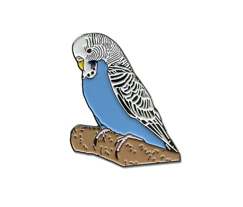 Blue budgie budgerigar - budgerigar, bird