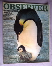 Observer Magazine 10th January