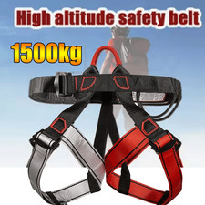 Tree Climbing & Rappelling