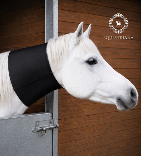 Horse neck sweat weanling - sweat,