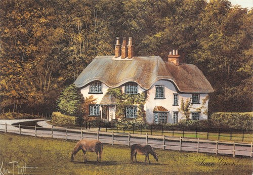 Kevin platt paintings swan - kevin,