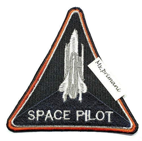 Nasa space pilot - space,