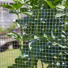 Galvanised welded wire - wire, mesh
