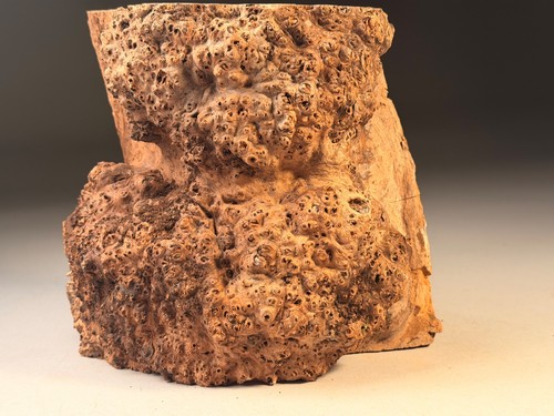 Cap burr elm - burr, edge