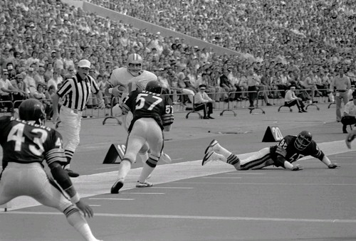 Don rives original 35mm - don,