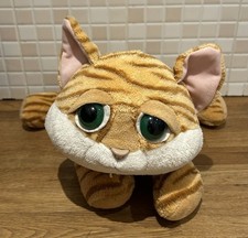 Russ Chile Ginger Tabby Kitten