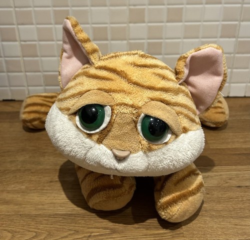 Russ chile ginger tabby - ginger,