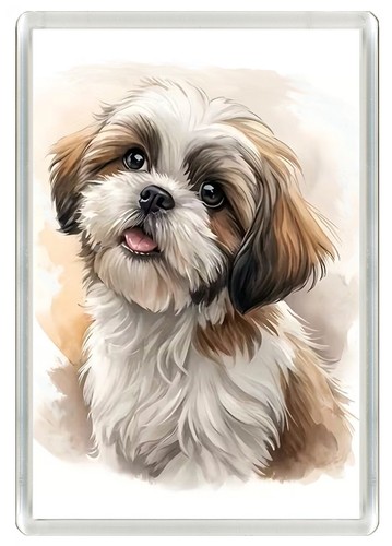 Shih tzu dog - shih, magnet