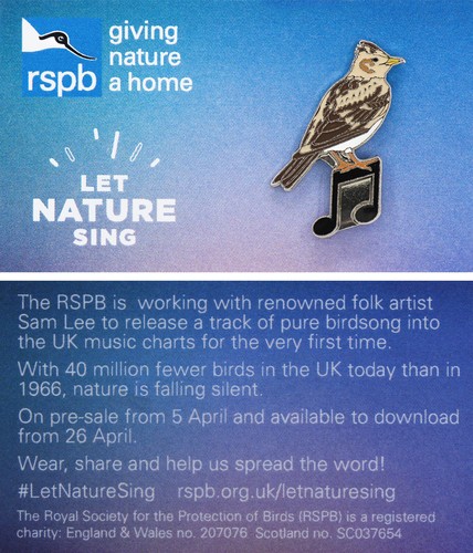 Rspb pin badge special - pin,