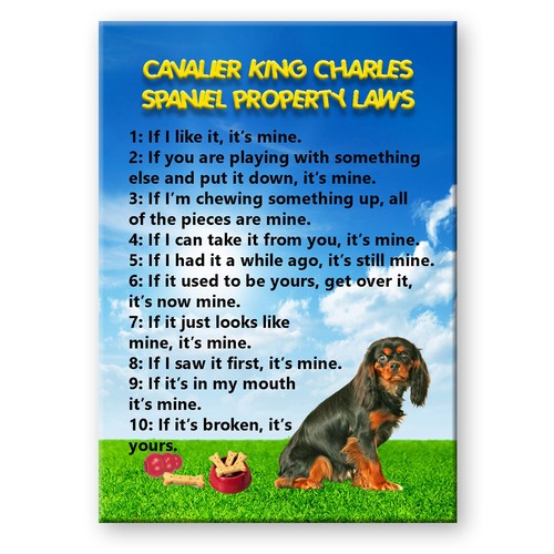 Cavalier king charles - charles, spaniel