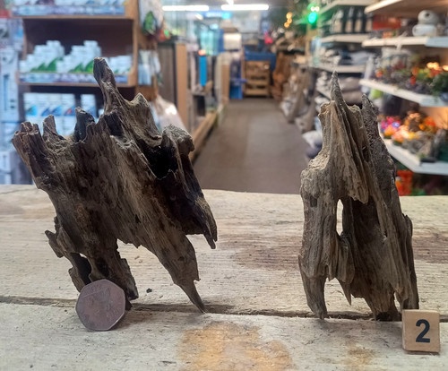 Nano dragon wood bundles - dragon,