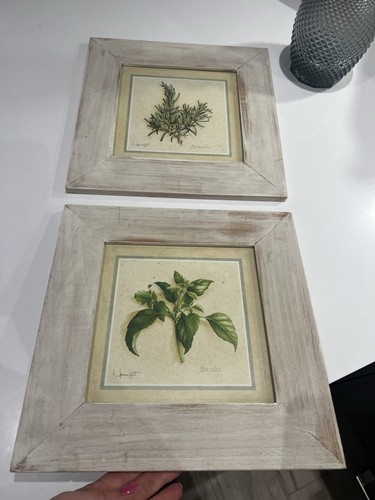 Botanical illustration prints - botanical,