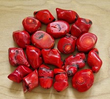 RED CORAL 20-30 mm (x1)