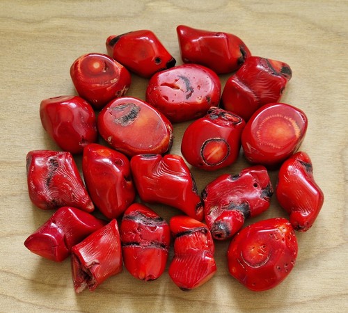 Red coral mm - 20-30,