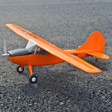 Tony ray cessna - l-19, dog