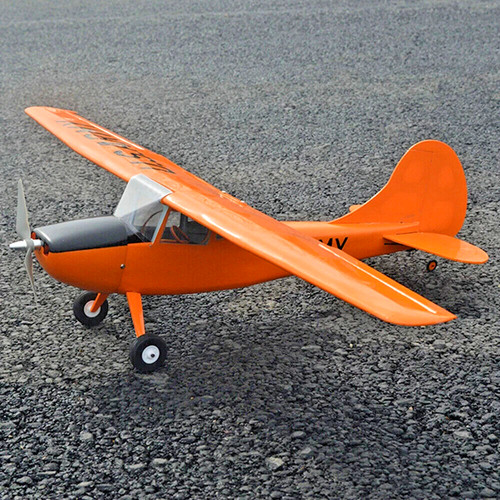 Tony ray cessna bird dog - bird,