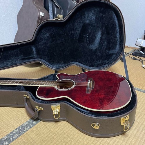 Takamine dmp551c - dmp551c, wr