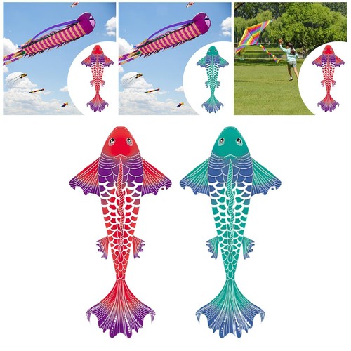 Large koi fish - kite, big