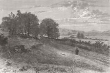 EVERSHED'S ROUGH. Bishop of