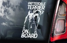 PATTERDALE TERRIER Car