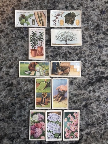 Garden hints and - garden,