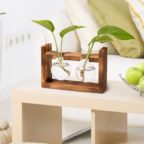 Tabletop hanging glass vase - hanging,