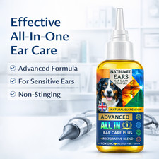 Dog Ear Drops for Itchy Waxy