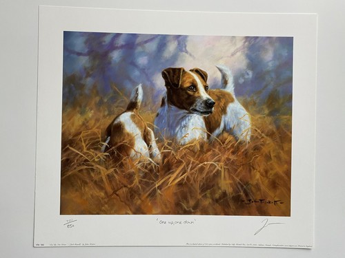 Jack russel dog limited - dog,