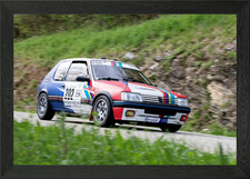 Peugeot 205 Rally Car Framed
