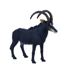 Mojo GIANT SABLE ANTELOPE Wild