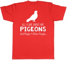 All I Care about are Pigeons