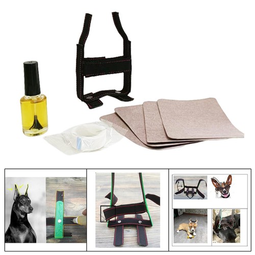 Doberman ear posting kit - doberman,