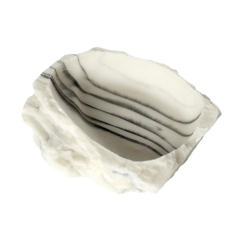 Reptile water dish - water, resin