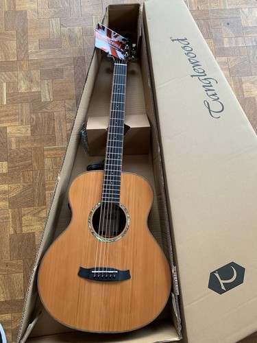 Tanglewood trs1e smart - tanglewood,,