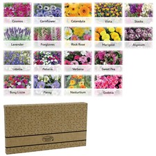 Flower Seeds UK | 18 Varieties