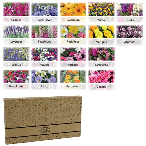Flower seeds 18 - uk,